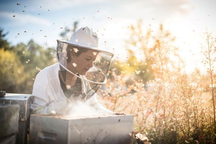 Rencontre et partage avec une apicultrice