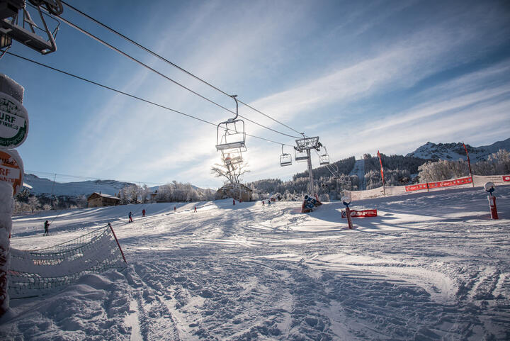 L'activité hivernale L'activité hivernale